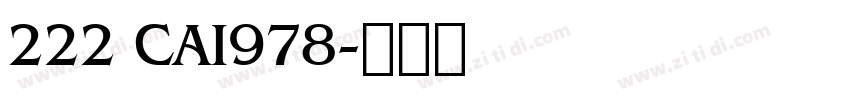 222 CAI978字体转换